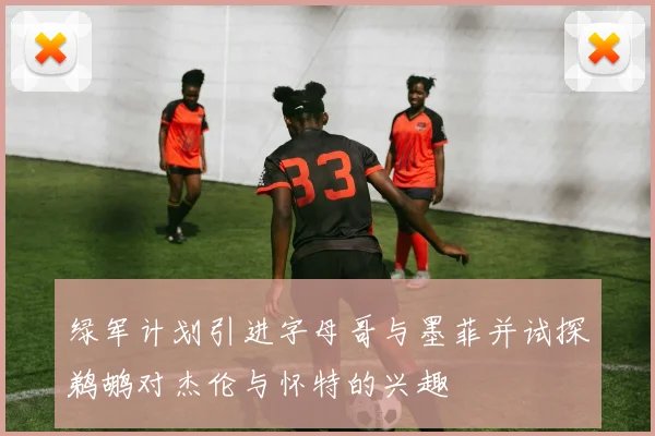绿军计划引进字母哥与墨菲并试探鹈鹕对杰伦与怀特的兴趣